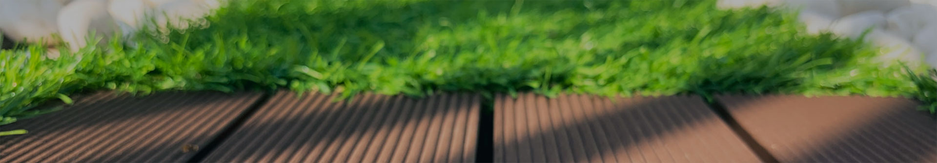 baner_głowy